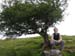 ireland-me-fairytree